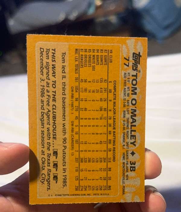 Card back
