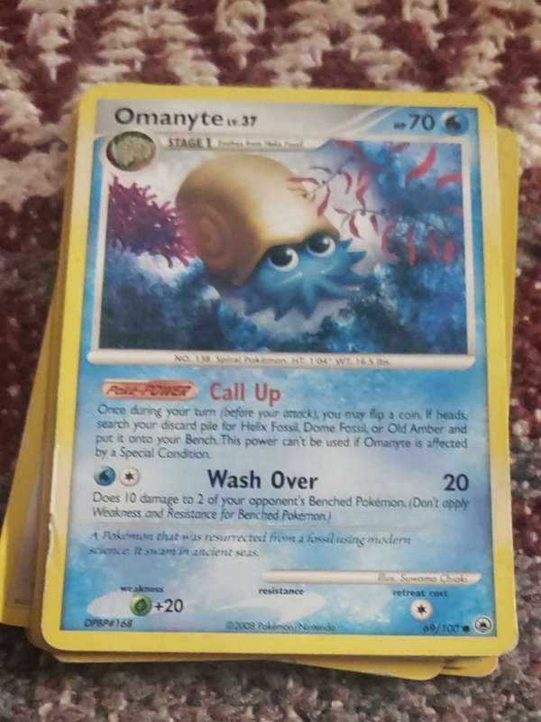 Omanyte