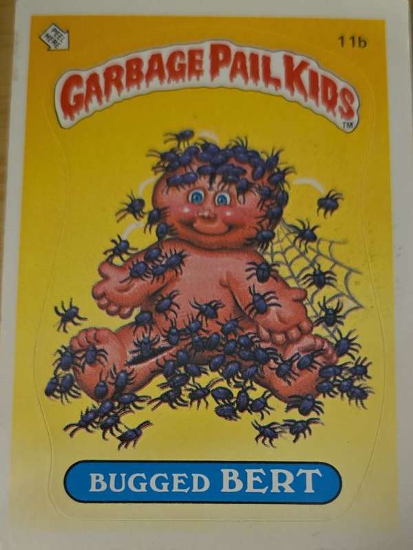 Bugged Bert