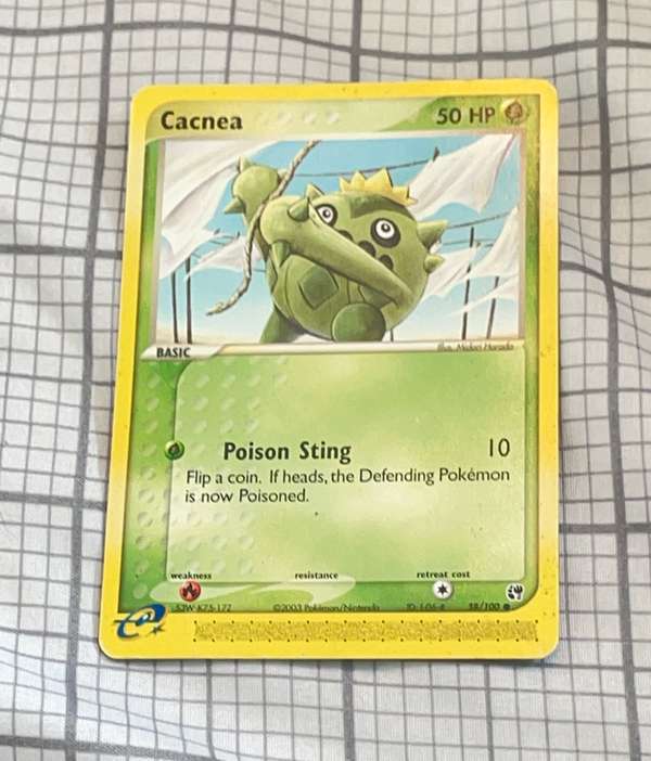 Cacnea
