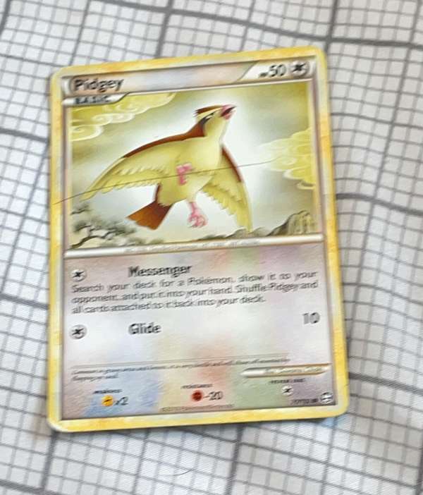 Pidgey