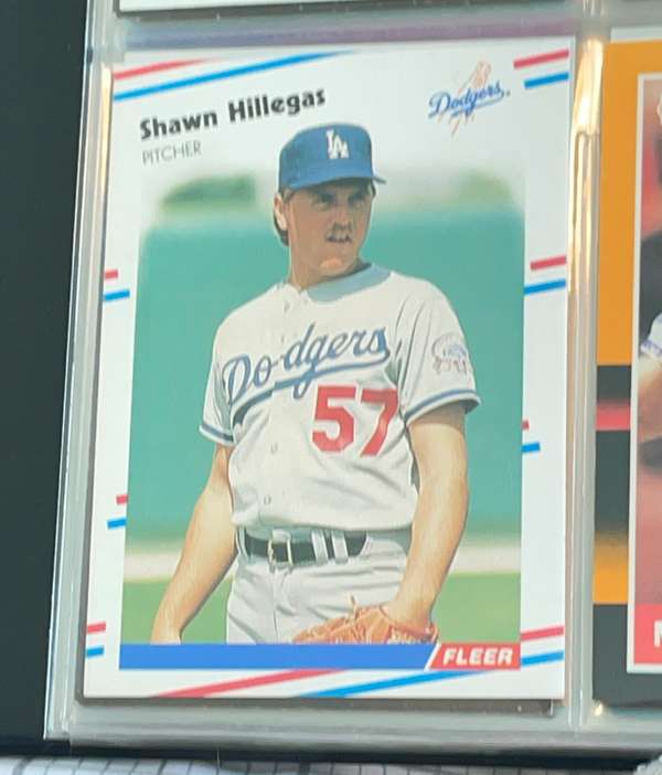 Shawn Hillegas