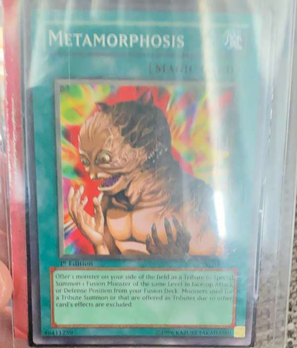 Metamorphosis