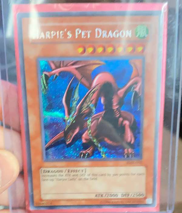 Harpie's Pet Dragon (Forbidden Memories)