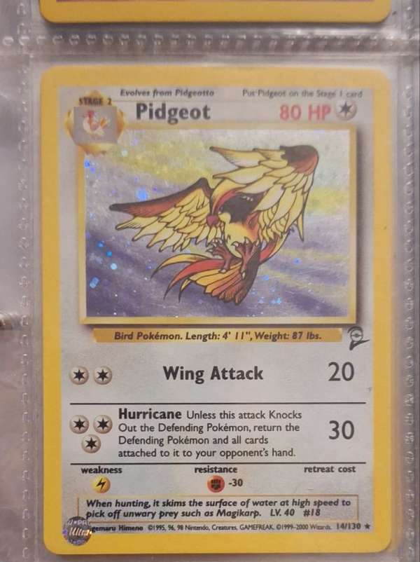 #014/130 Pidgeot