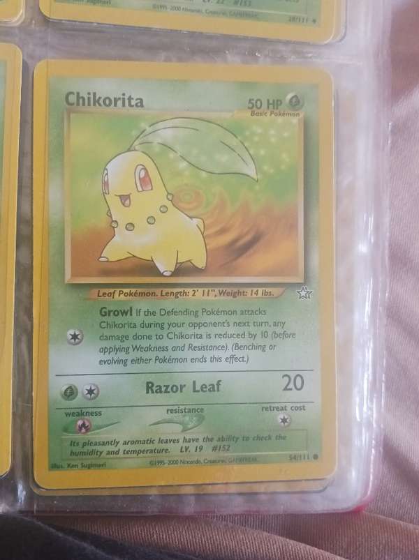 Chikorita (54)