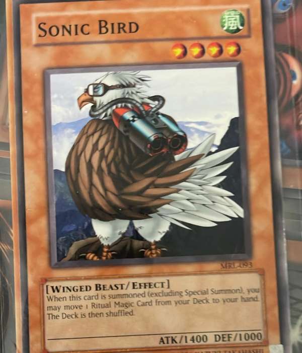 Sonic Bird