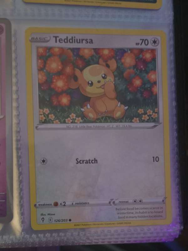 Teddiursa