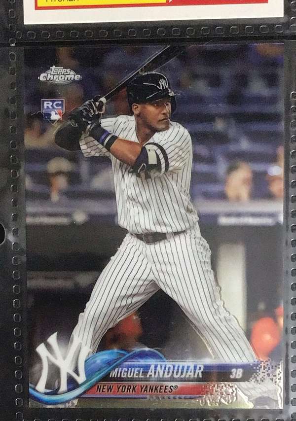 #14 Miguel Andujar