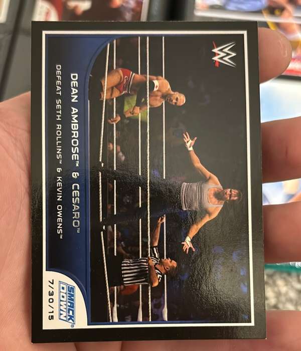 Dean Ambrose / Cesaro 