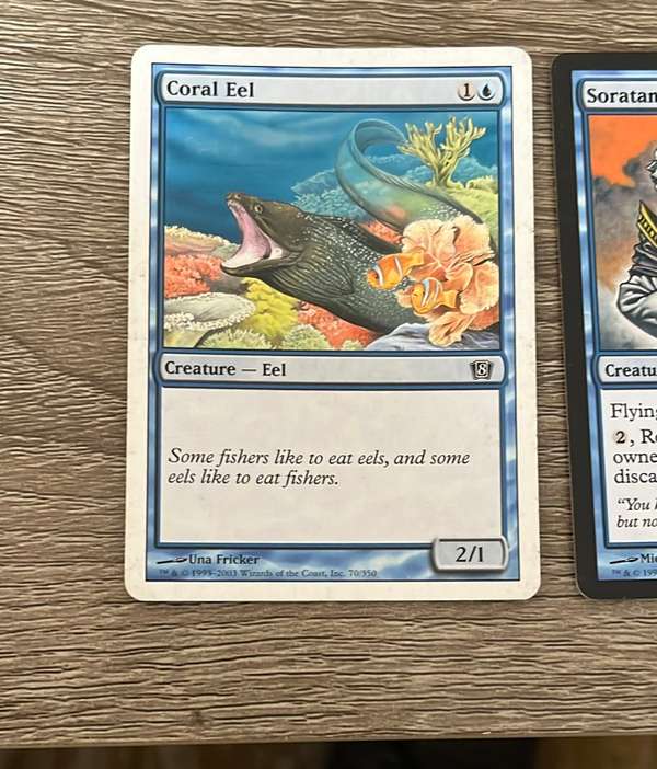 Coral Eel