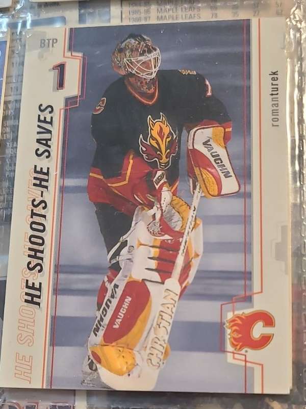 Roman Turek