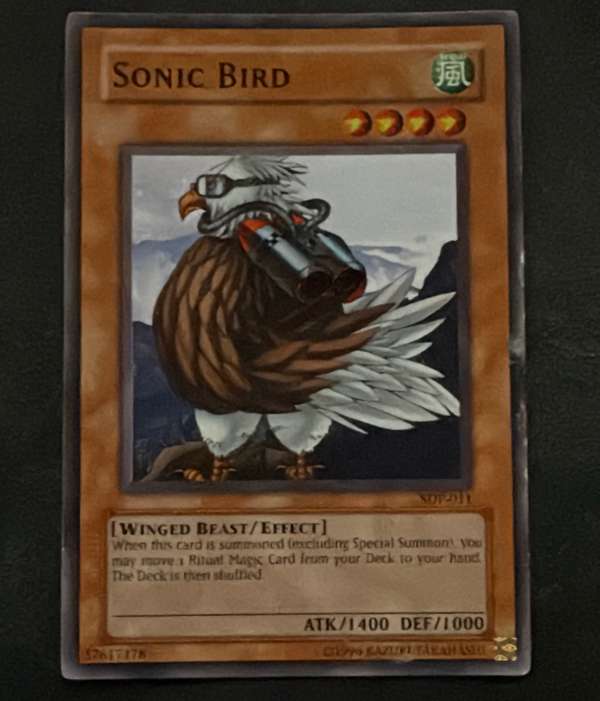 Sonic Bird