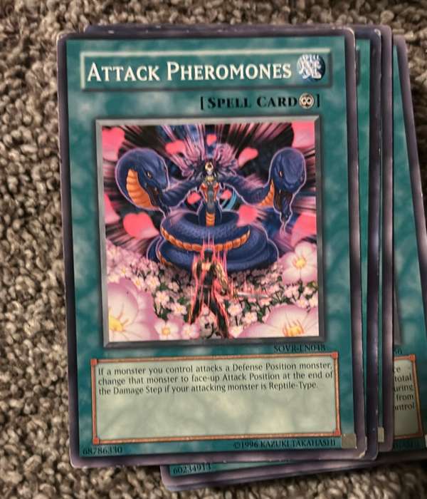 Attack Pheromones