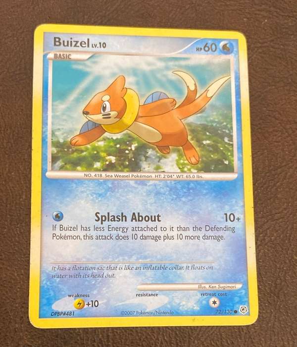 Buizel