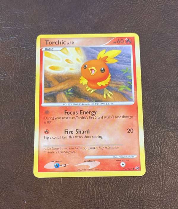 Torchic