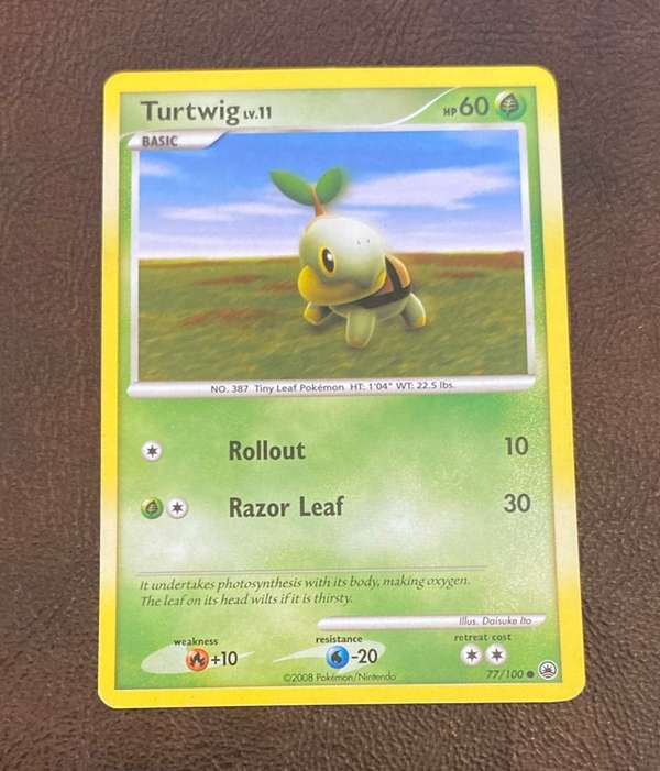 Turtwig (77)