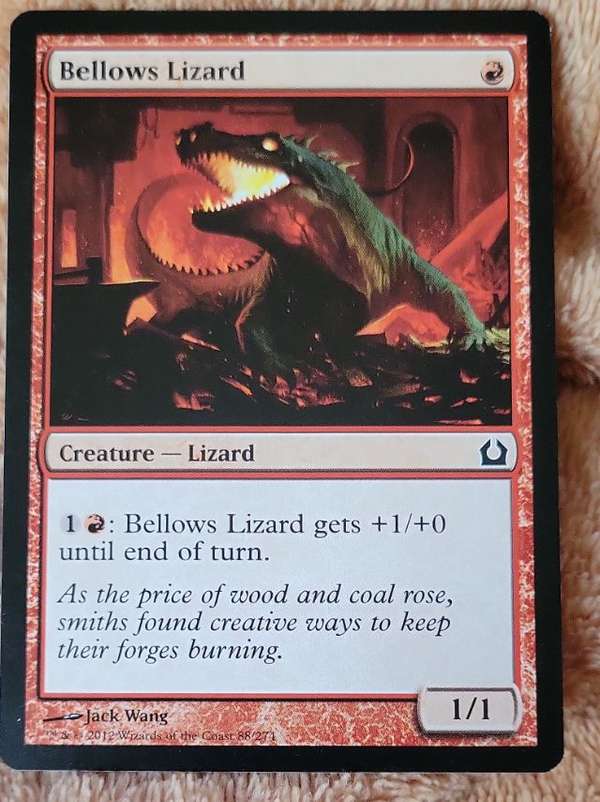 Bellows Lizard