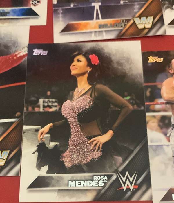 Rosa Mendes