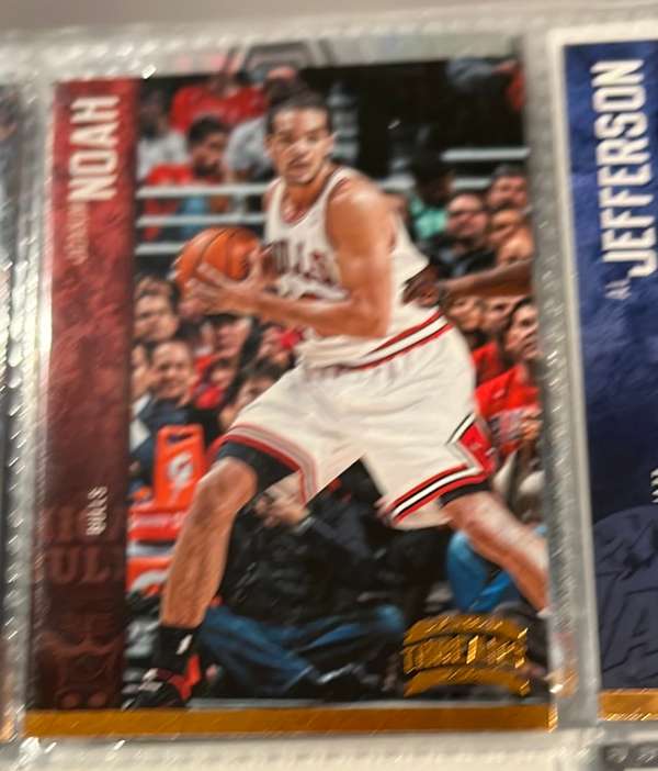 Joakim Noah