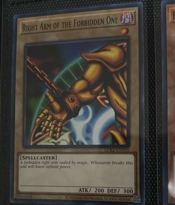 Right Arm of the Forbidden One