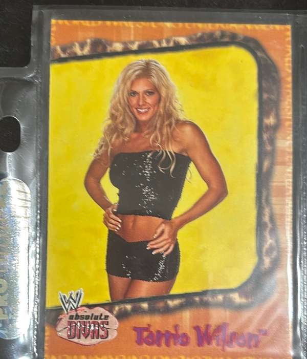 Torrie Wilson