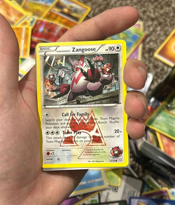 Team Magma's Zangoose