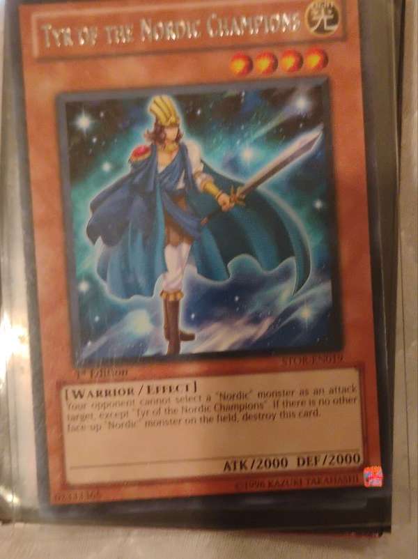 Tyr of the Nordic Champions