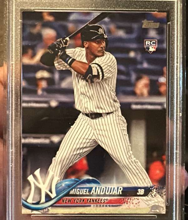 #305 MIGUEL ANDUJAR