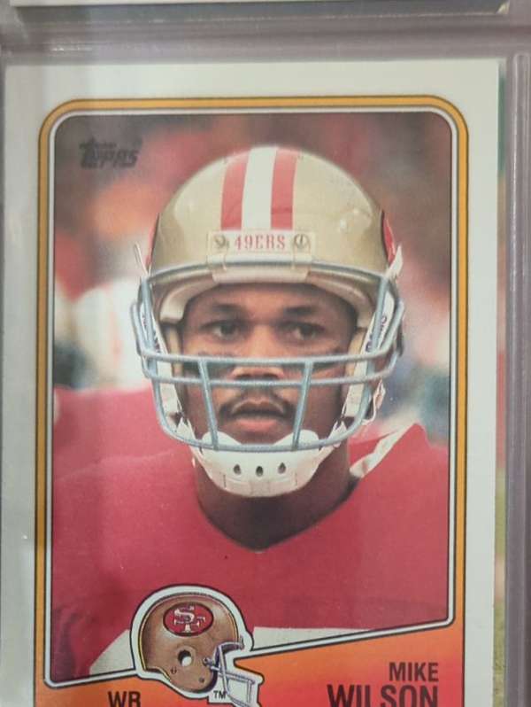 Mike Wilson