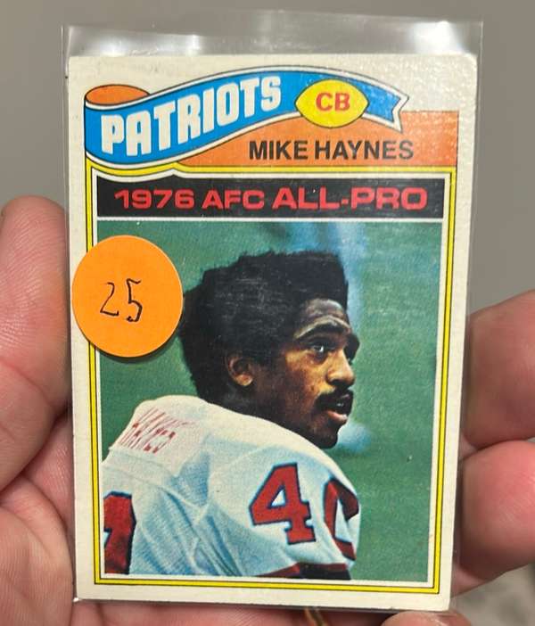 Mike Haynes