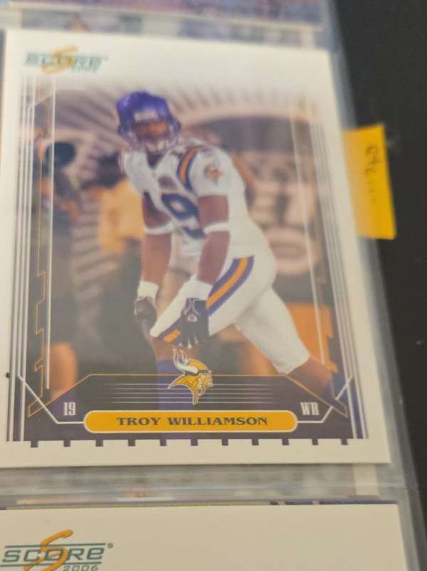 Troy Williamson