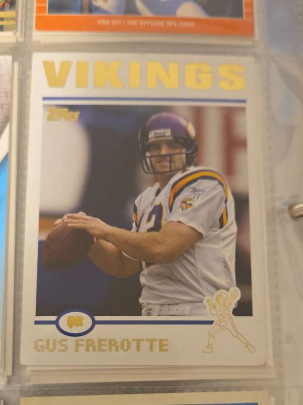 Gus Frerotte