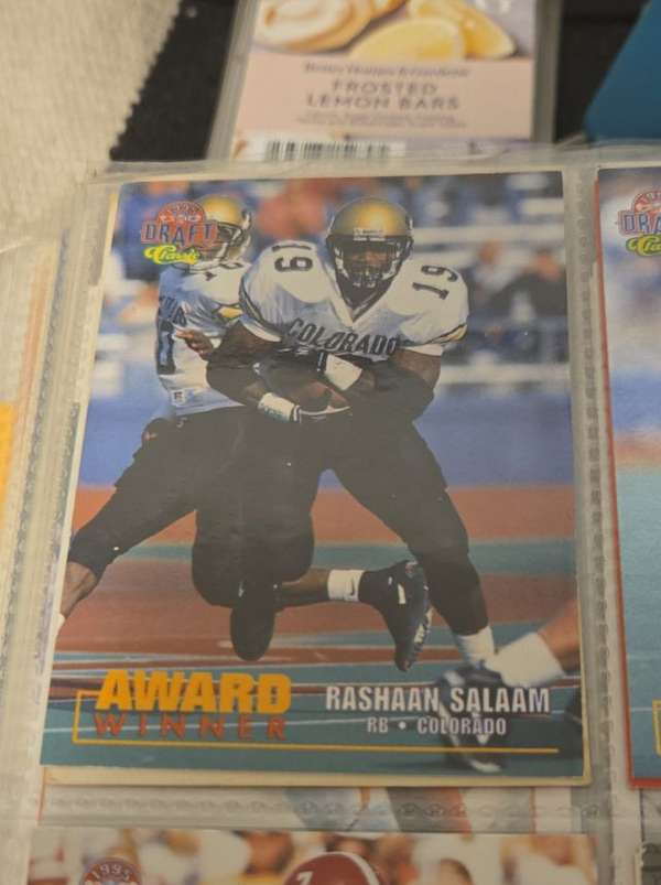 Rashaan Salaam