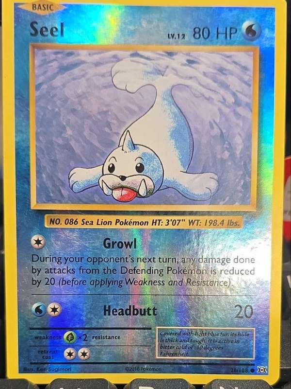 Seel