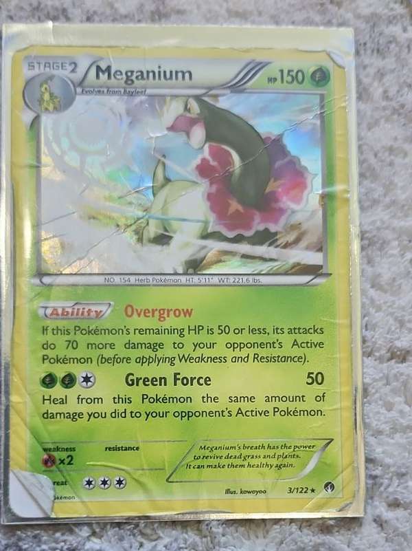 Meganium