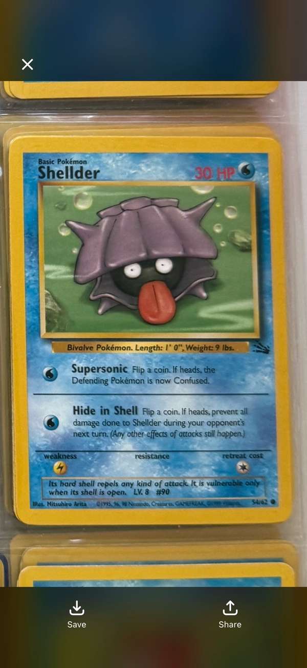 Shellder