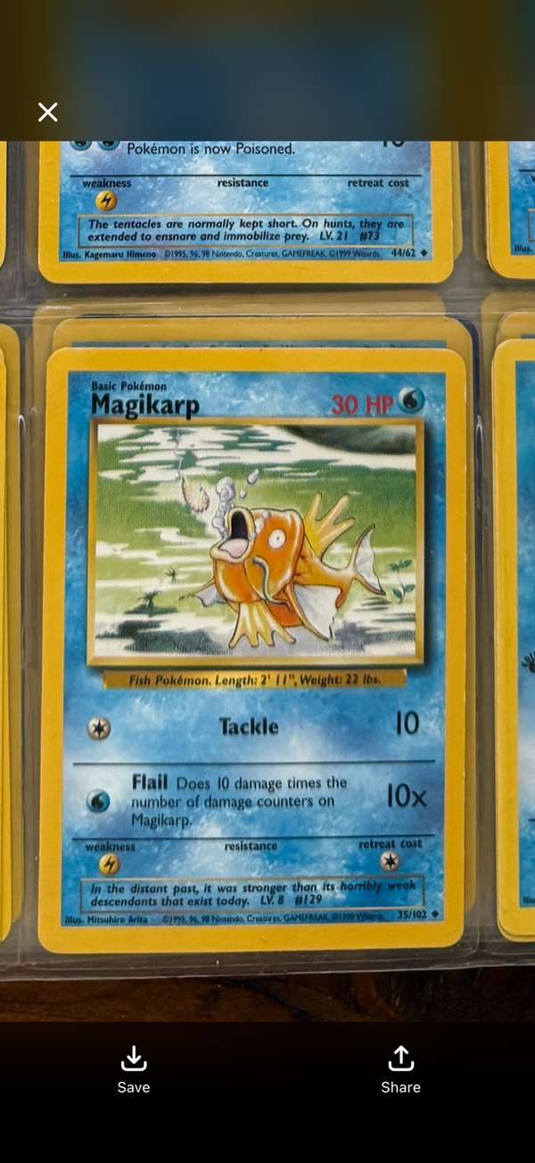 Magikarp