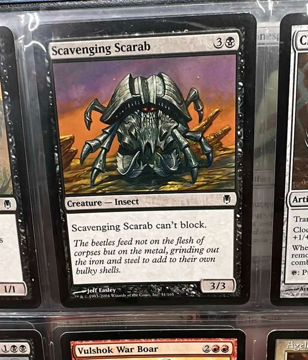 Scavenging Scarab