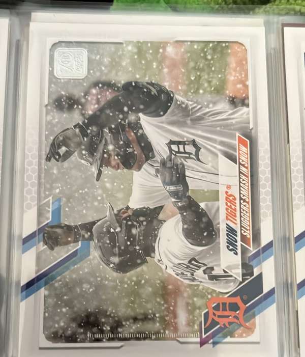 Snow Tigers (Miguel Cabrera / Jeimer Candelario)