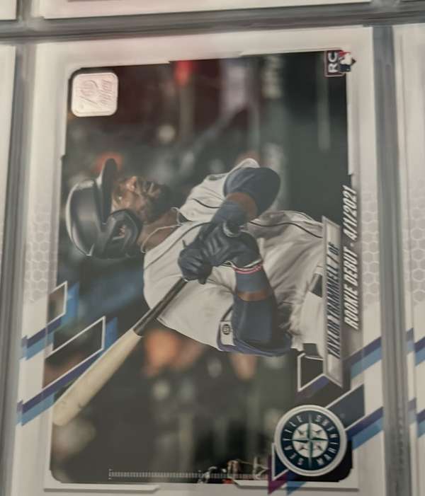 Taylor Trammell
