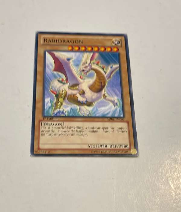 Rabidragon