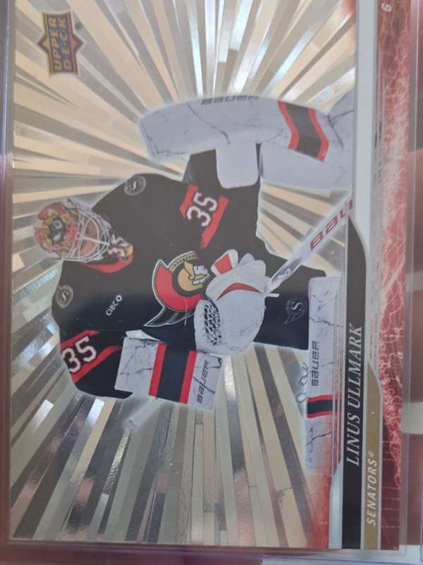 #593 Linus Ullmark