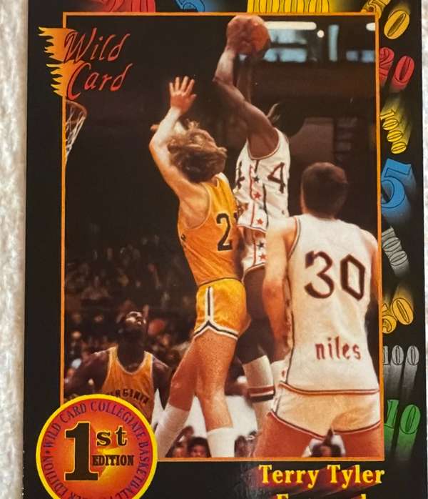 Terry Tyler