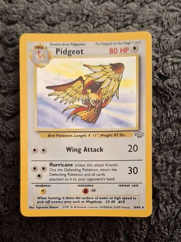 #08/64 Pidgeot (8)