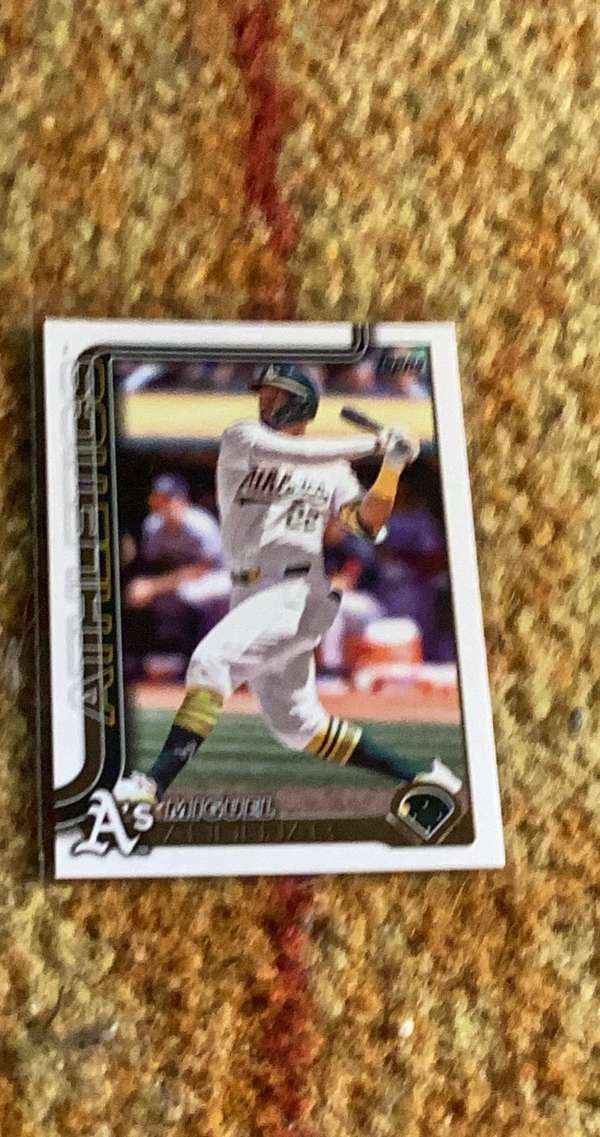 #529 Miguel Andujar