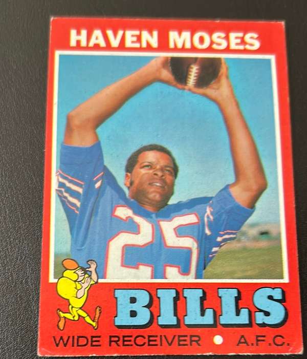 Haven Moses