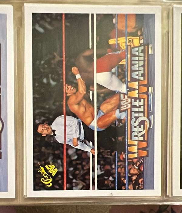Rick Martel / Koko B. Ware 