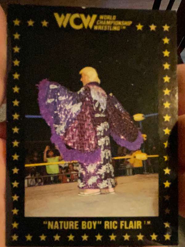 Nature Boy Ric Flair