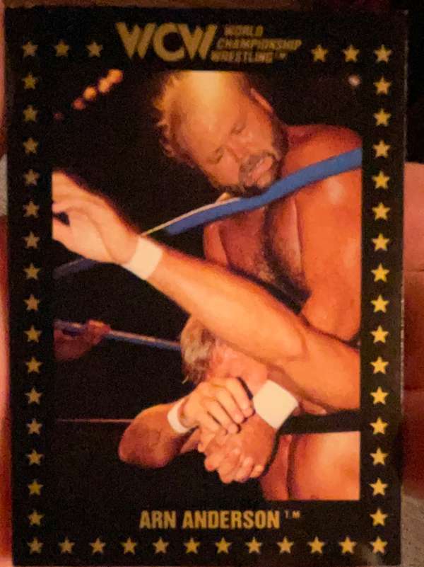 Arn Anderson